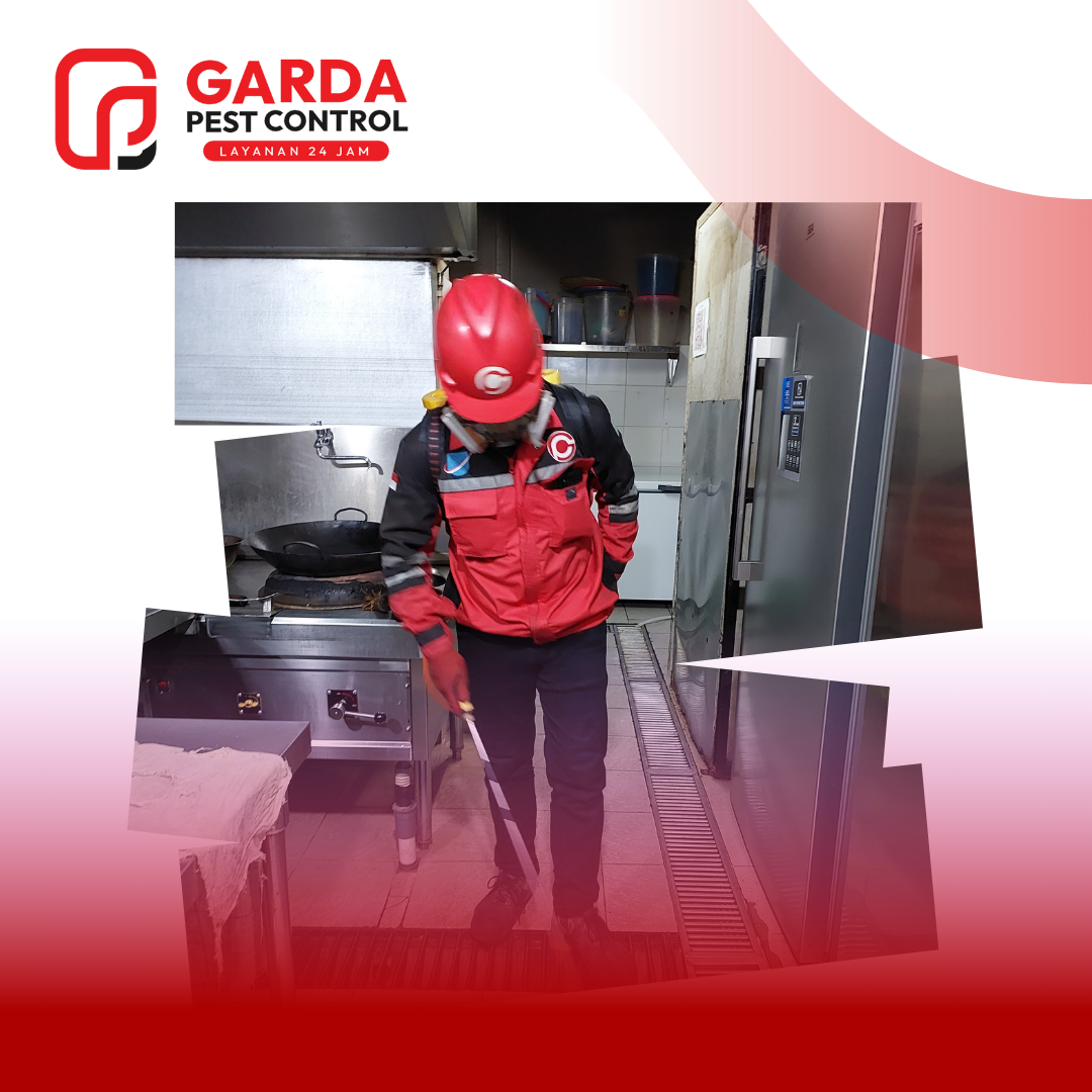 Jasa Pembasmi Kecoa Terdekat
