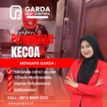 Jasa Pembasmi Kecoa Terdekat dan Bergaransi