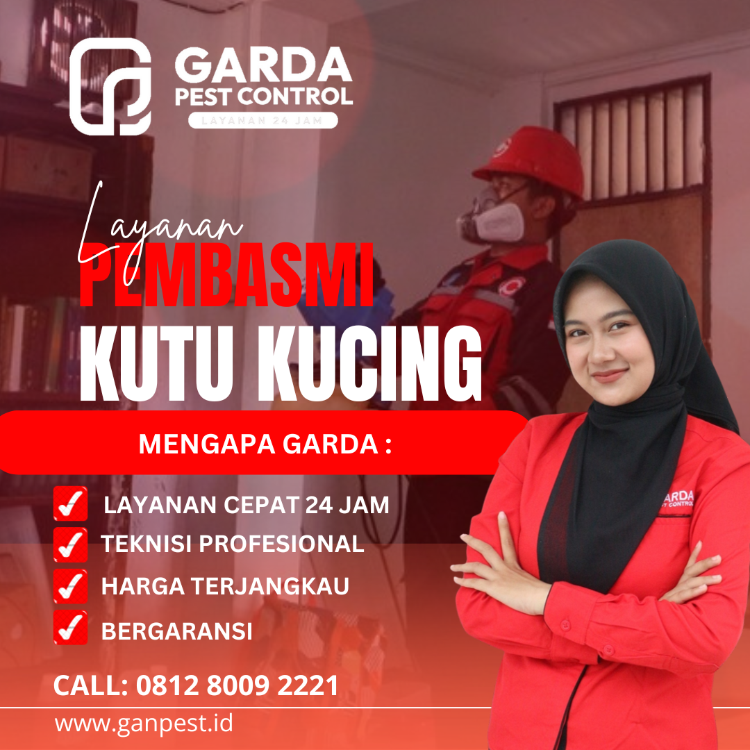 Jasa Pembasmi Kutu Kucing Pasuruan No.1 di Indonesia