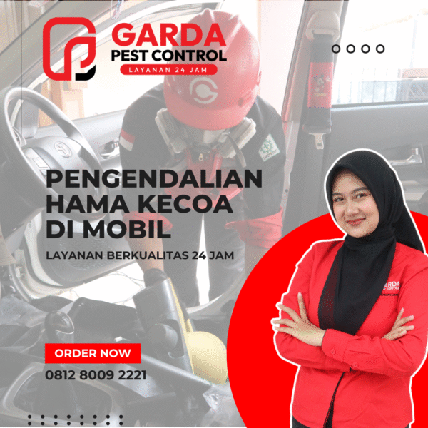 Jasa Pembasmi Kecoa di Mobil Panggilan 24 Jam