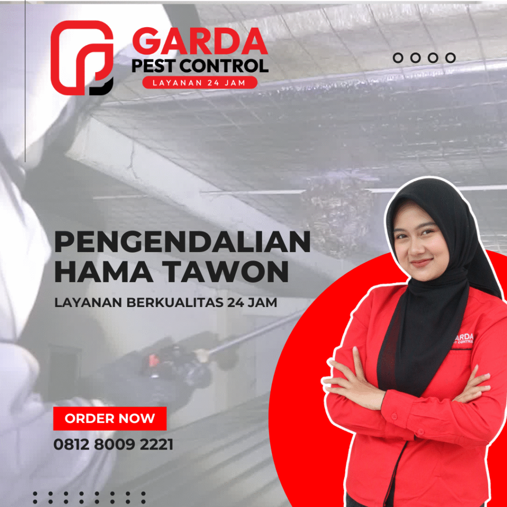 Jasa Pembasmi Tawon Terdekat Bersihkan Sarangnya