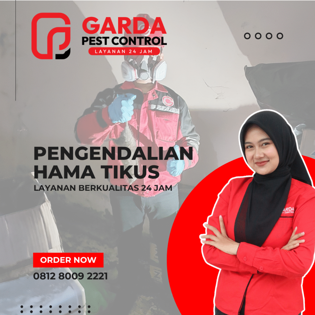 Jasa Pengendalian Hama Tikus