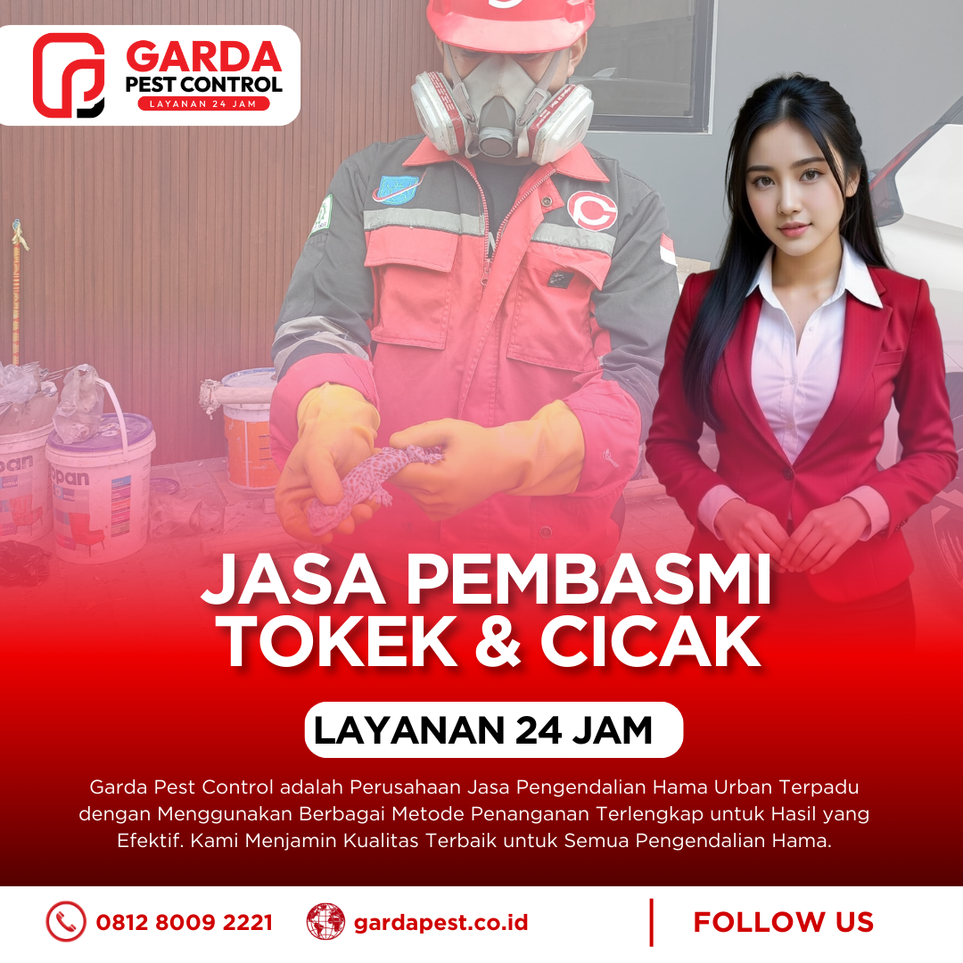 Jasa Pembasmi Cicak & Tokek Bergaransi