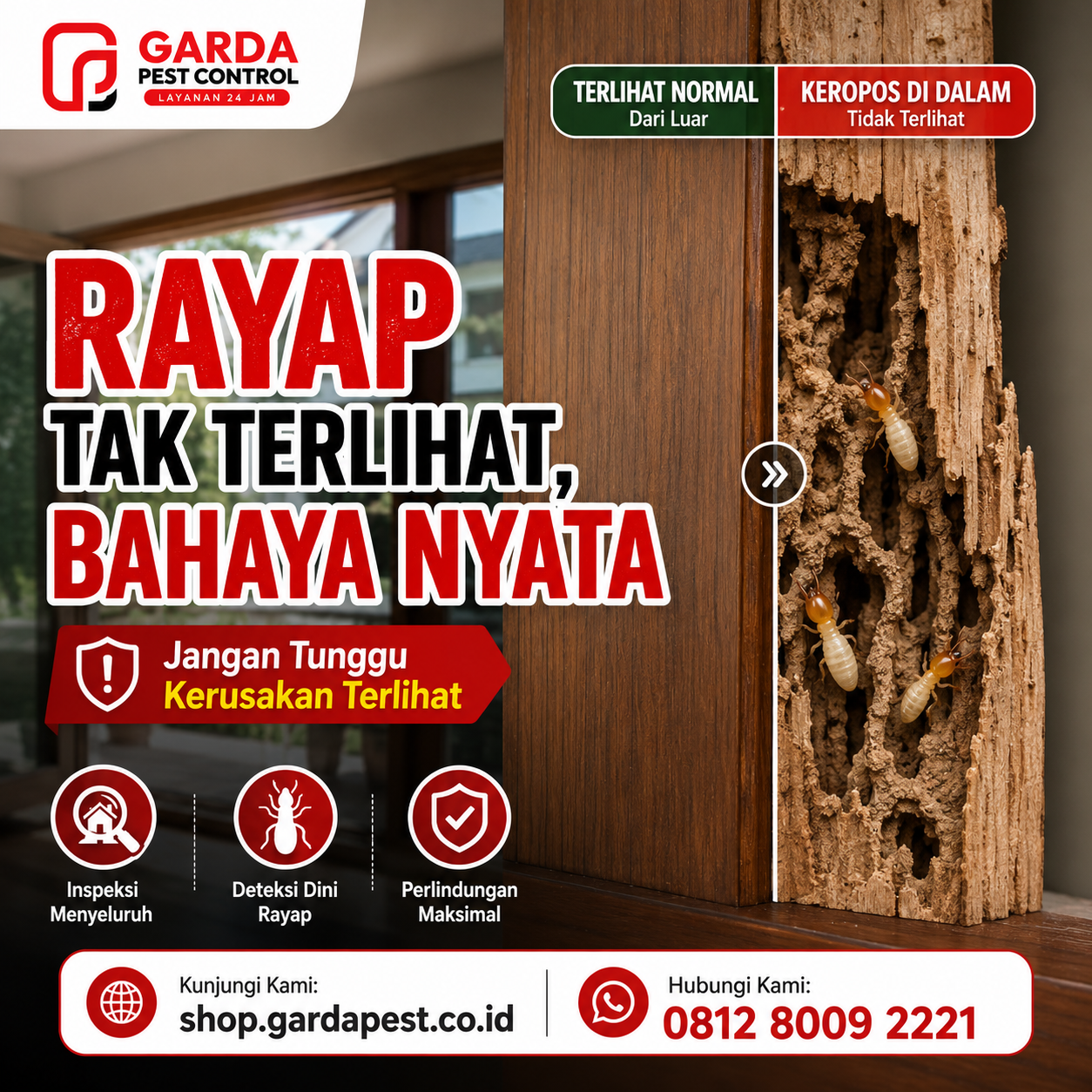 Harga Jasa Anti Rayap di Malang: Lindungi Properti Anda dari Kerusakan Parah