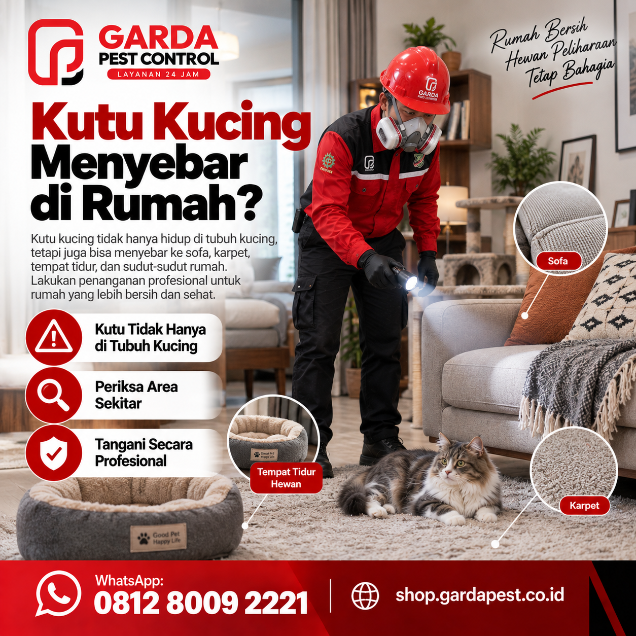Jasa Pembasmi Kutu Kucing dengan Treatment Profesional