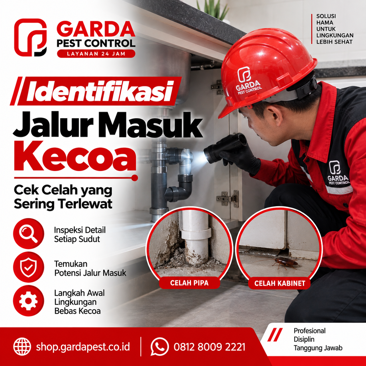 Jasa Pembasmi Kecoa Layanan Cepat Harga Murah